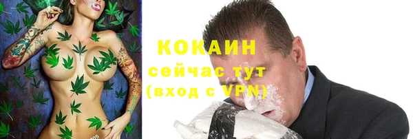 крисы Инсар