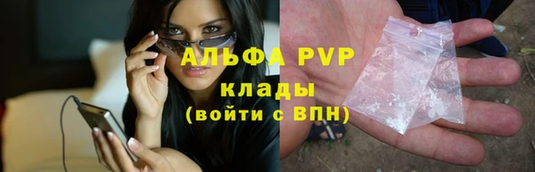 крисы Инсар