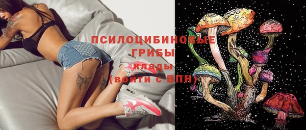 гидропоника Инта