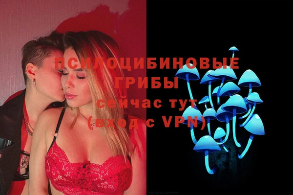 крисы Инсар